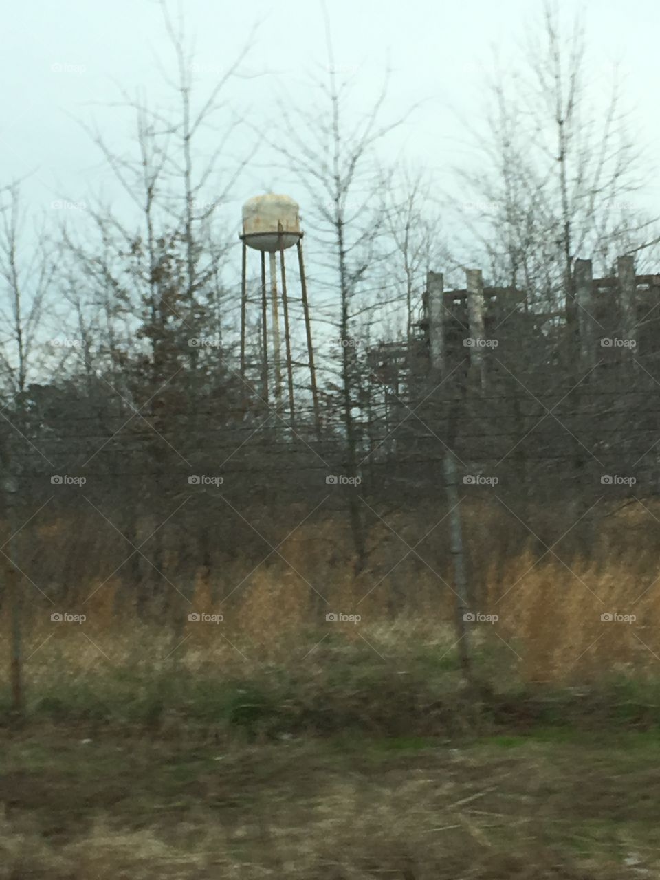 Landscape, No Person, Tree, Environment, Light