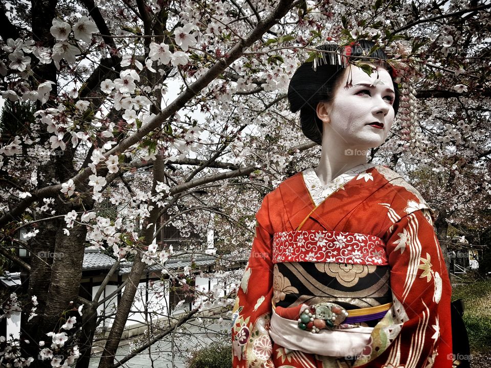 Maiko style, Kyoto, Japan