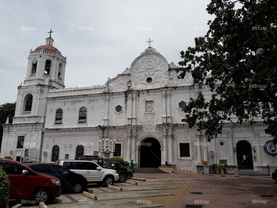 cathedral of cebu