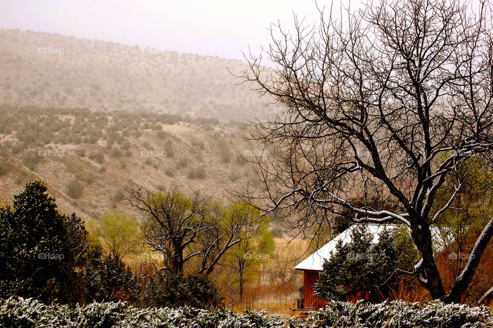 snow winter outdoors mountain by refocusphoto