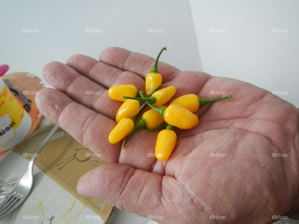 Peppers from Brazil