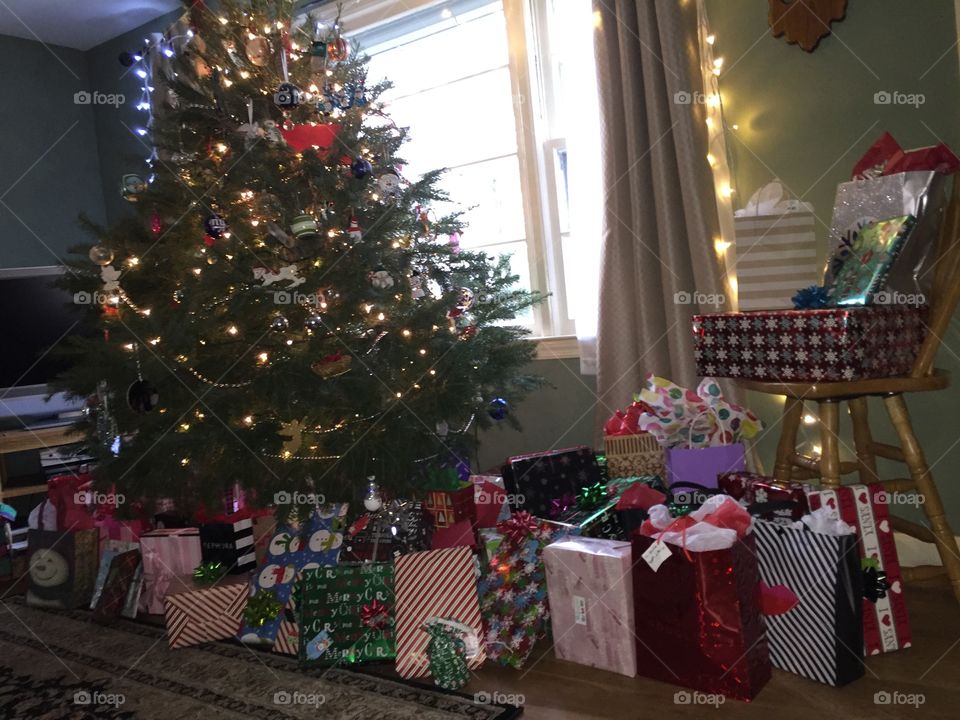 Christmas, Christmas Tree, Winter, Tree, Celebration