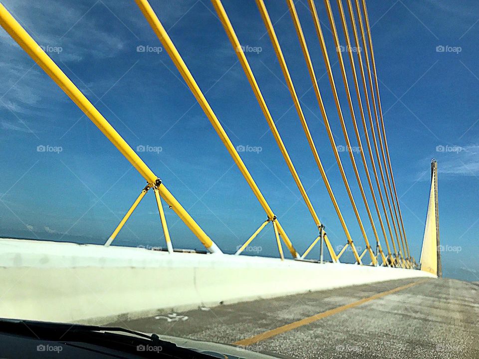 Golden rods of the infamous Skyway bridge.