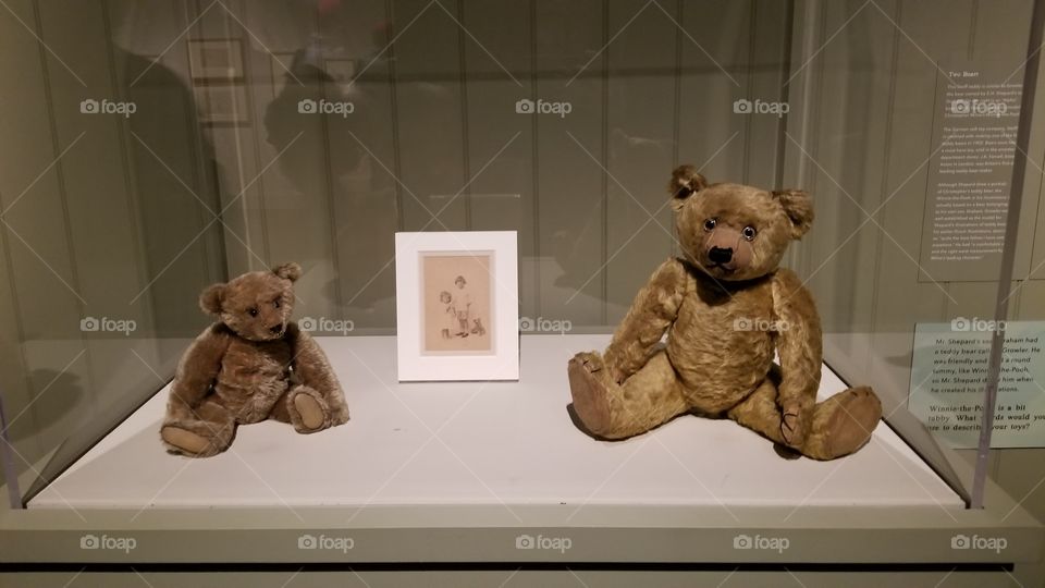 two winnie the poohs