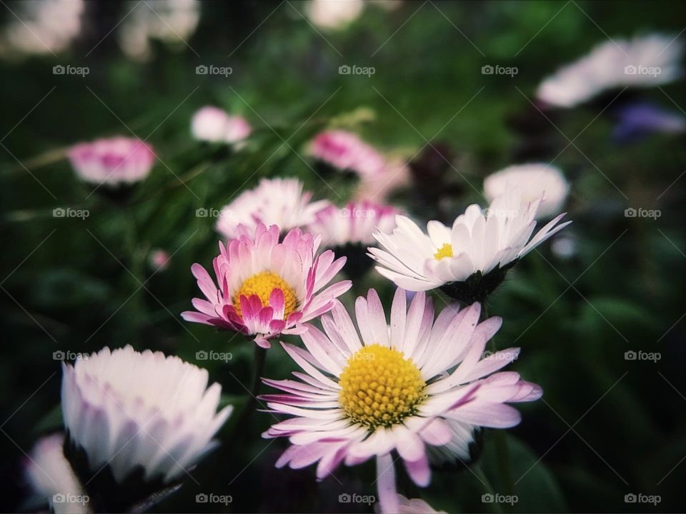 I don t know 🤷🏻‍♂️