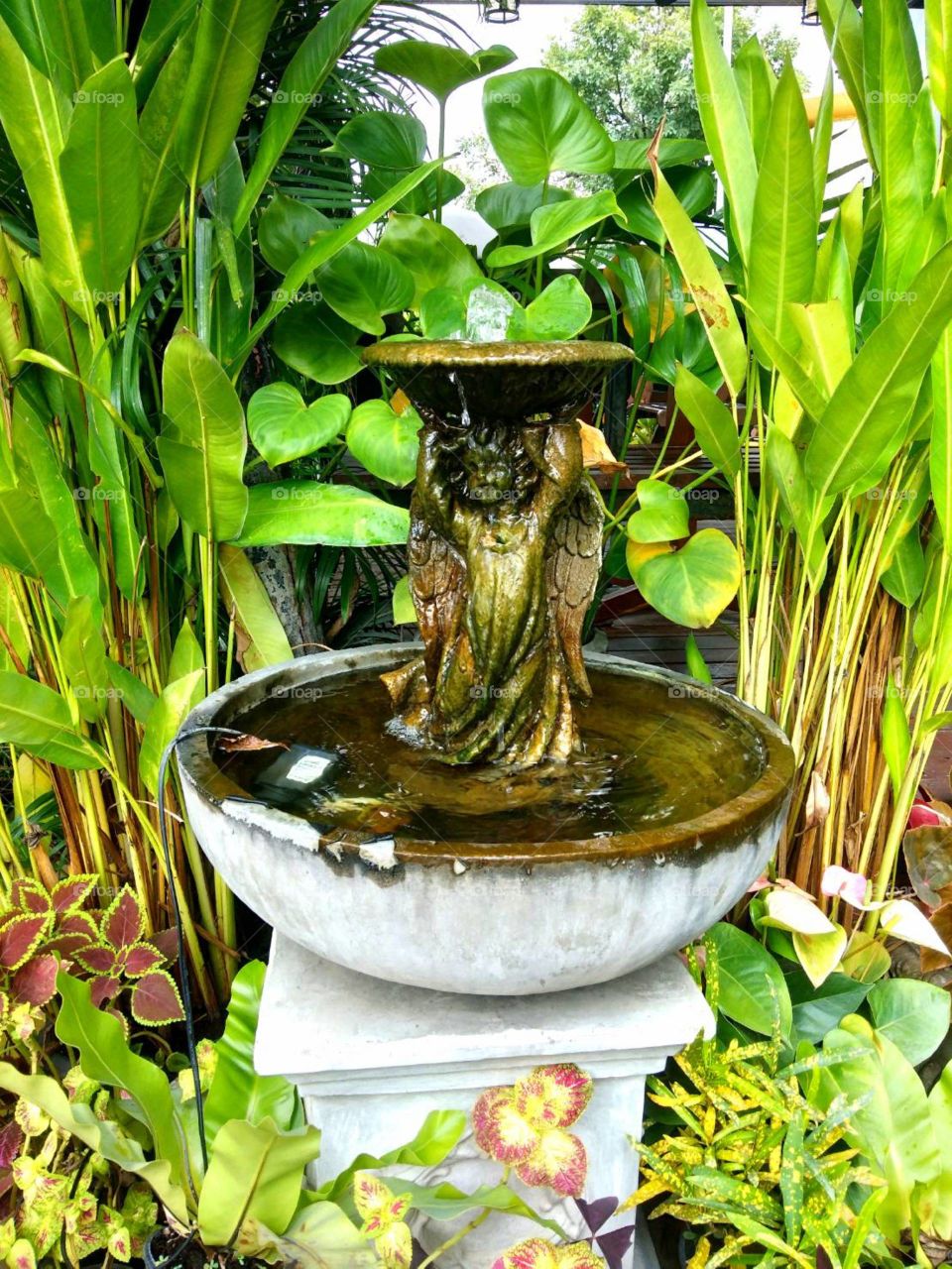 little angle fountain statue in the little garden.