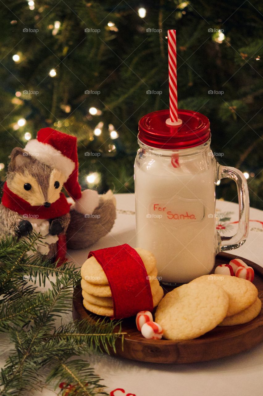 Christmas cookies and milk for Santa 