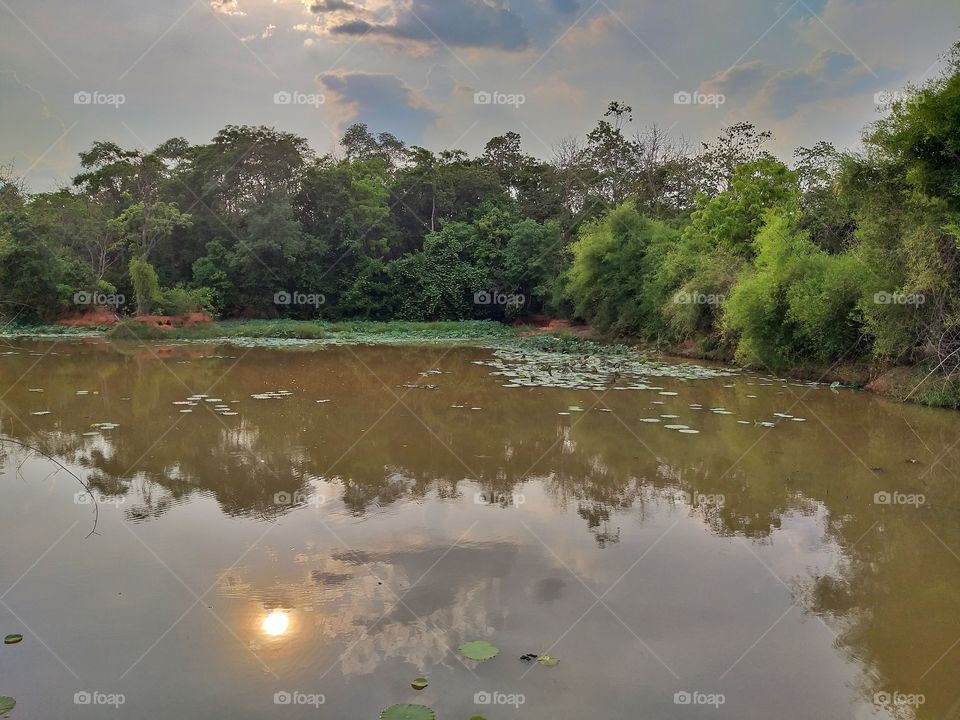 small pond nearby elephant village.