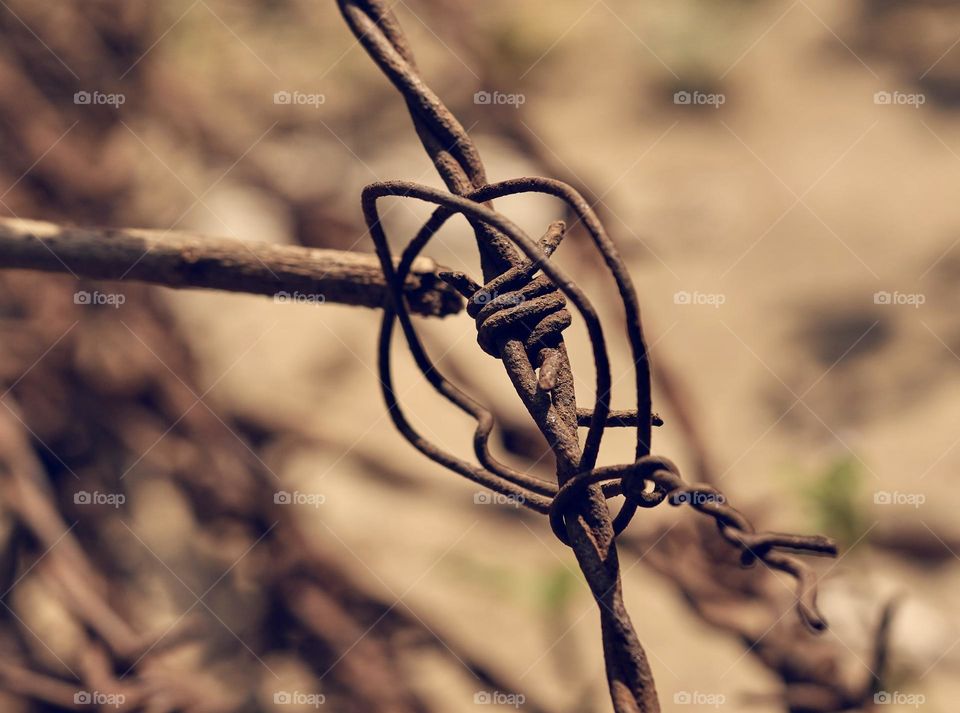 Steel - rust - fence - natural light 