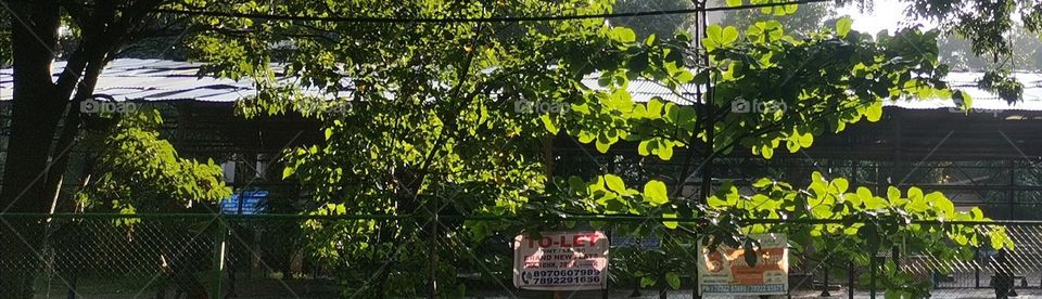 All this photos I capture my beautiful moments