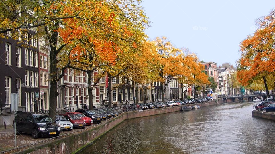 Amsterdam in fall