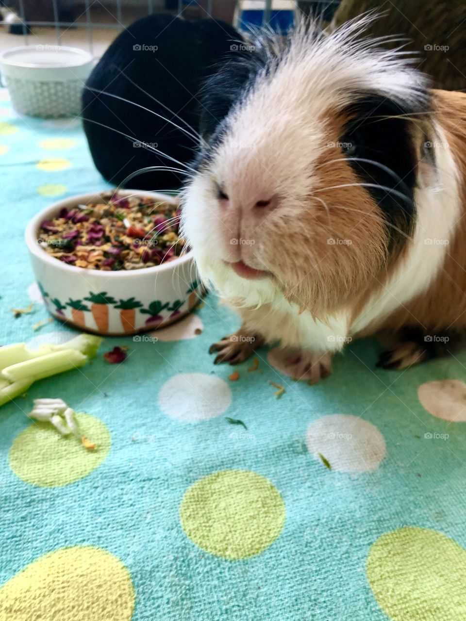 Having a selfie   close up picture 