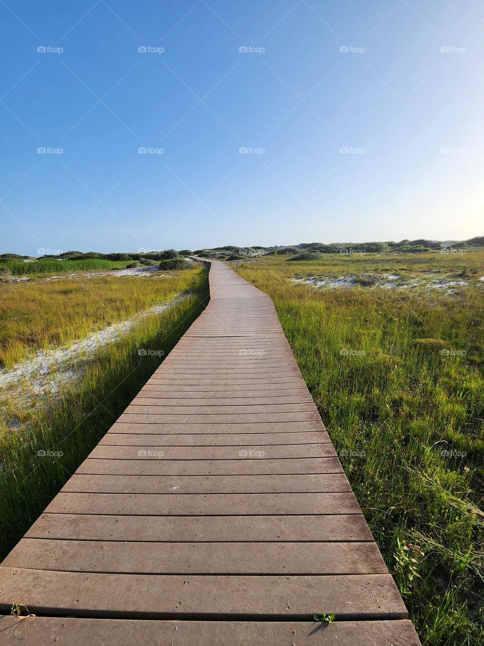 boardwalk in national seashore