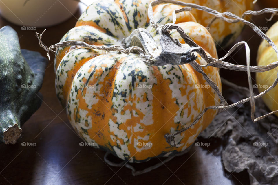 Pumpkin 