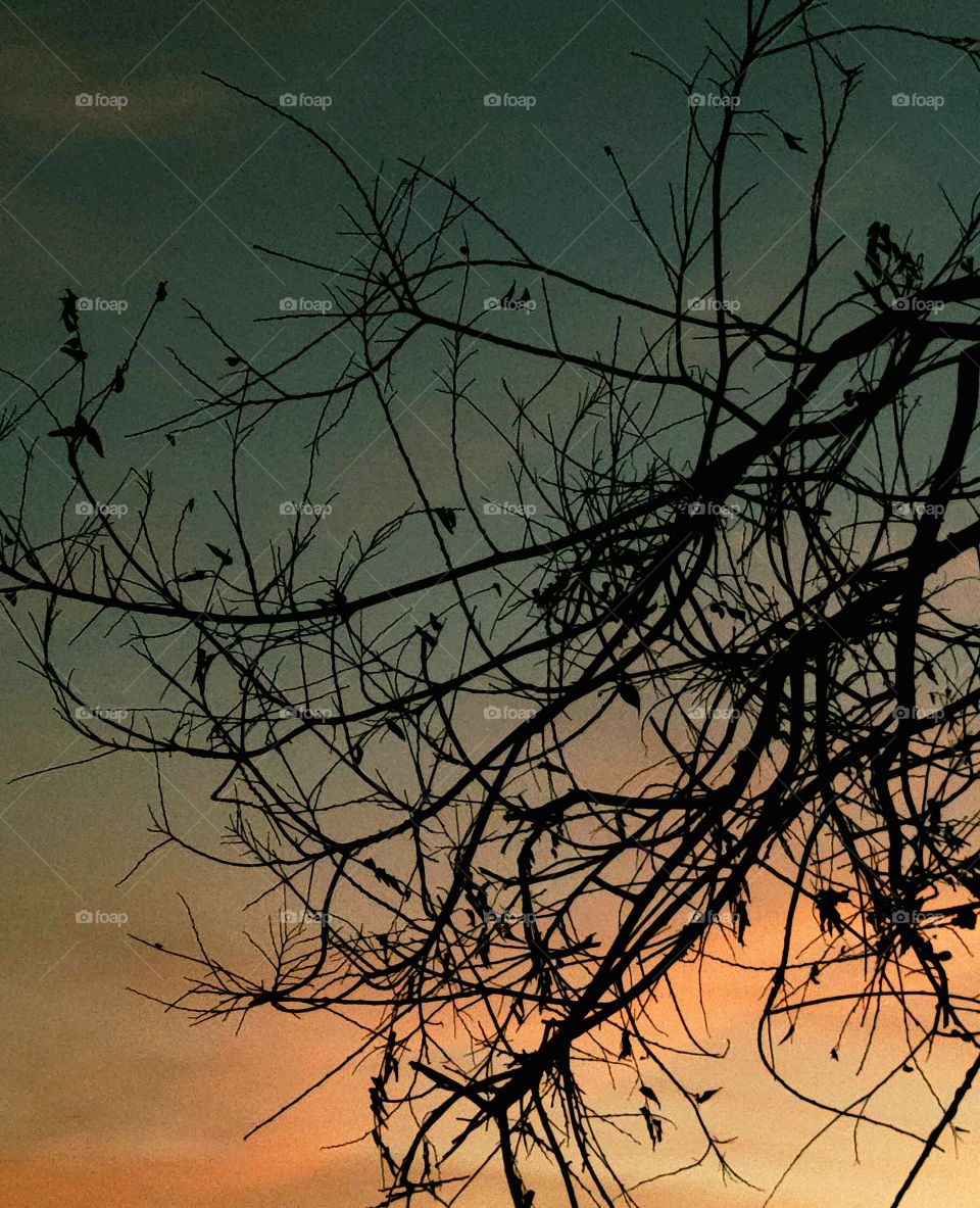 Cool autumn morning.