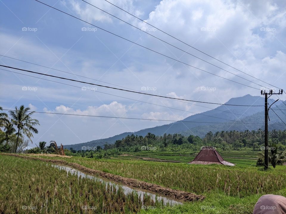 fields and mountains