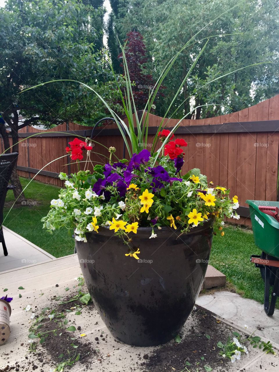 Colourful Flower planter pot 