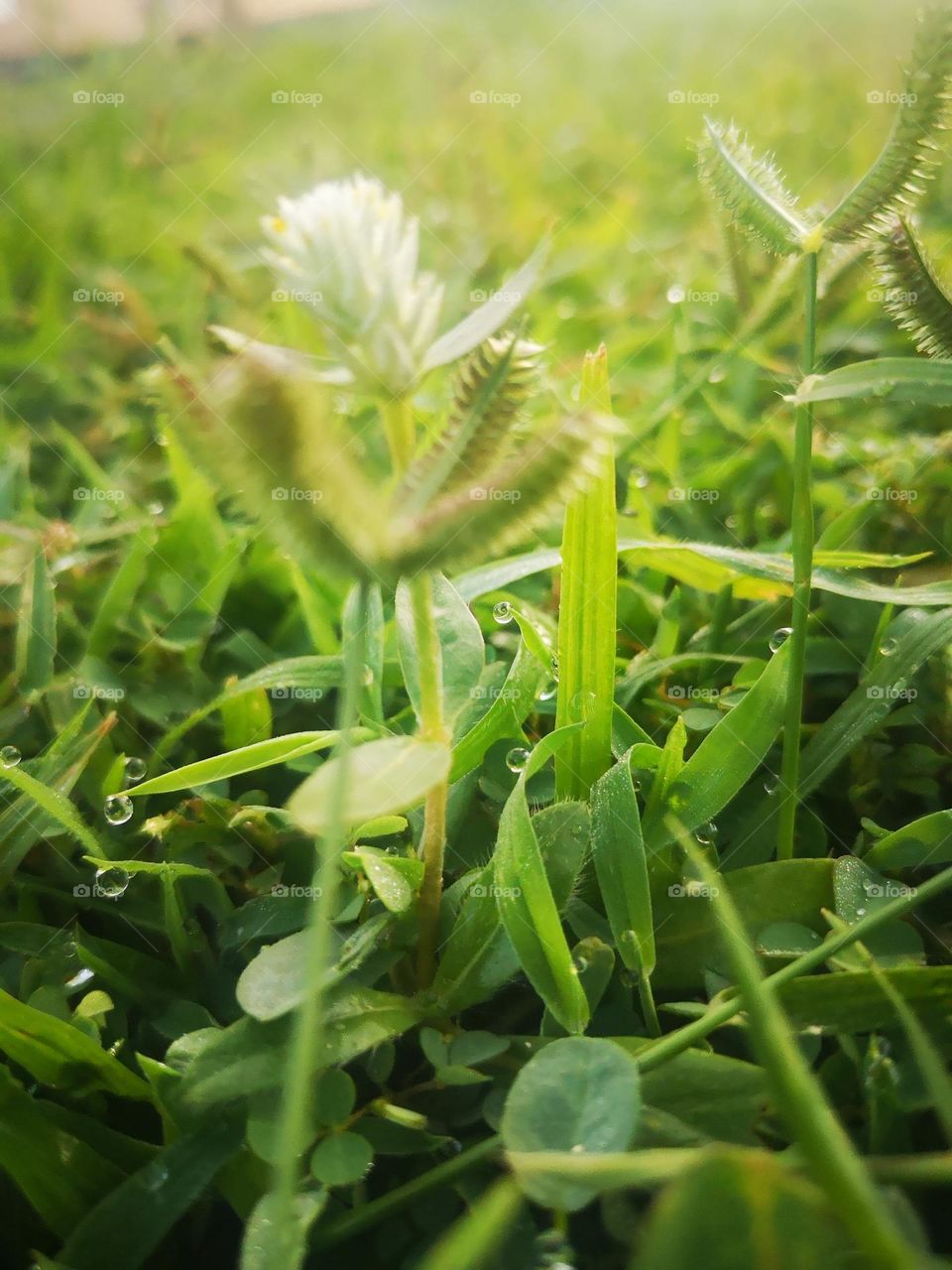 Macro photography is always a thrilling experience