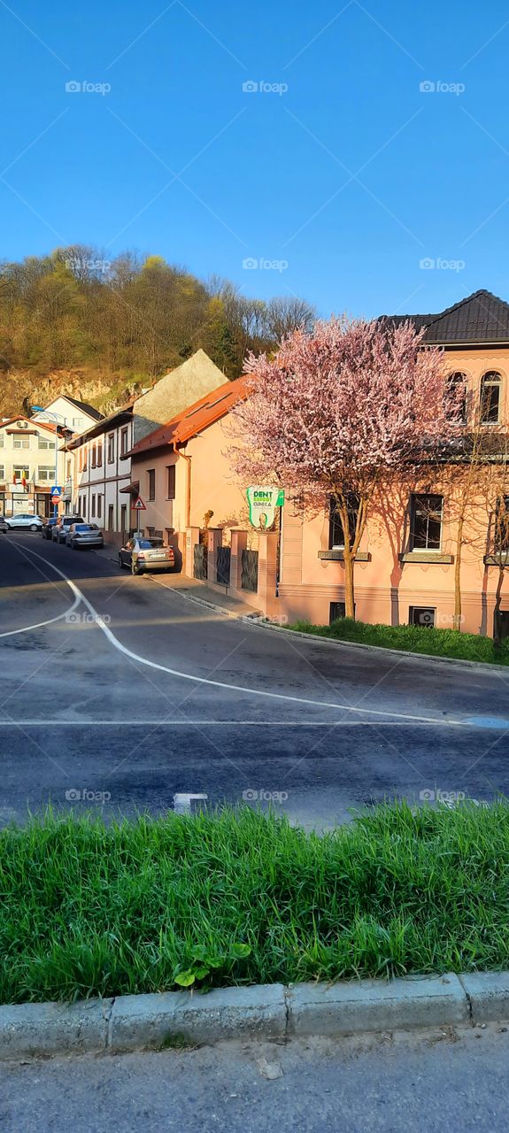 Spring in Brașov