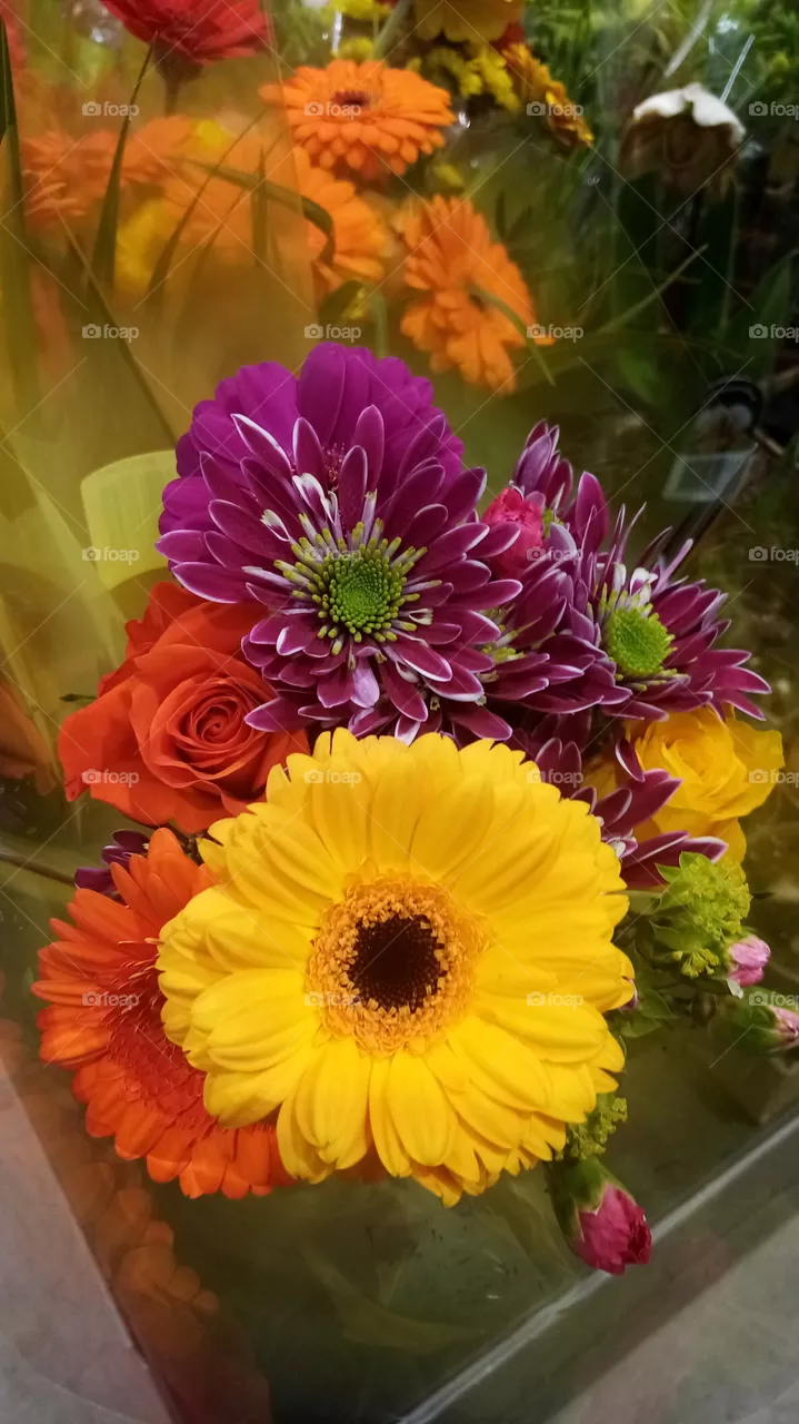 Blumen Germany