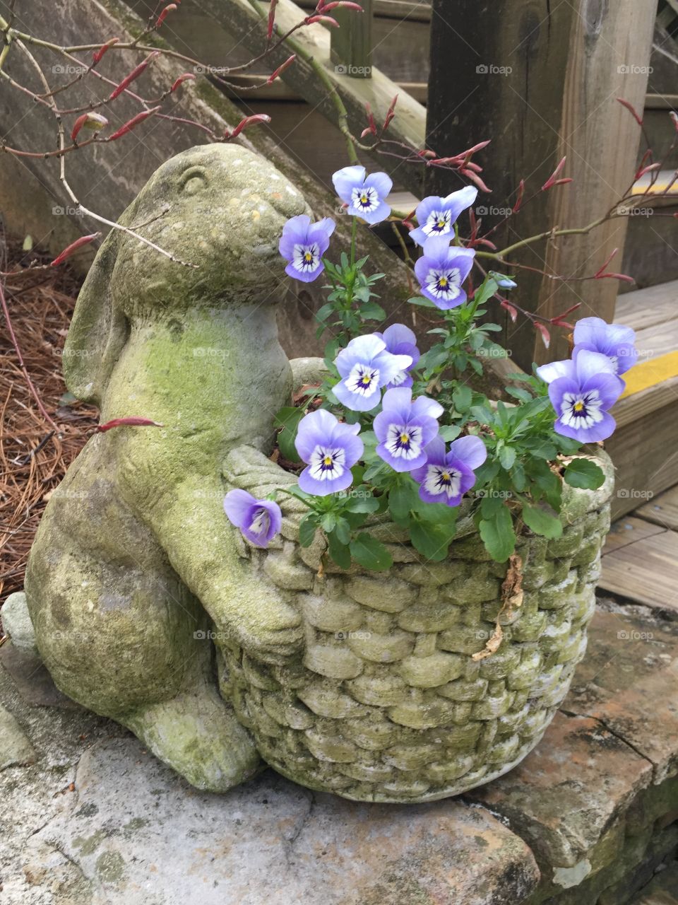 Ceramic bunny flowerpot