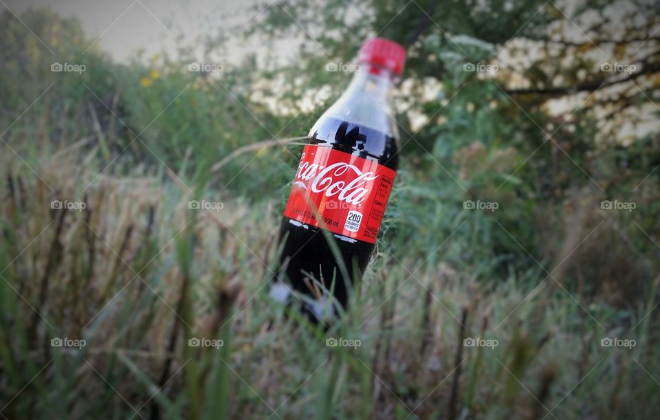 Coca-Cola in a Field