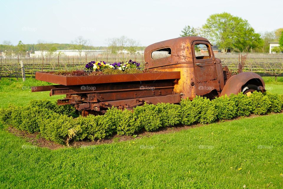 Old truck loaded with flowers