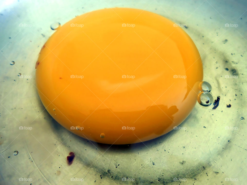 Egg Yolk