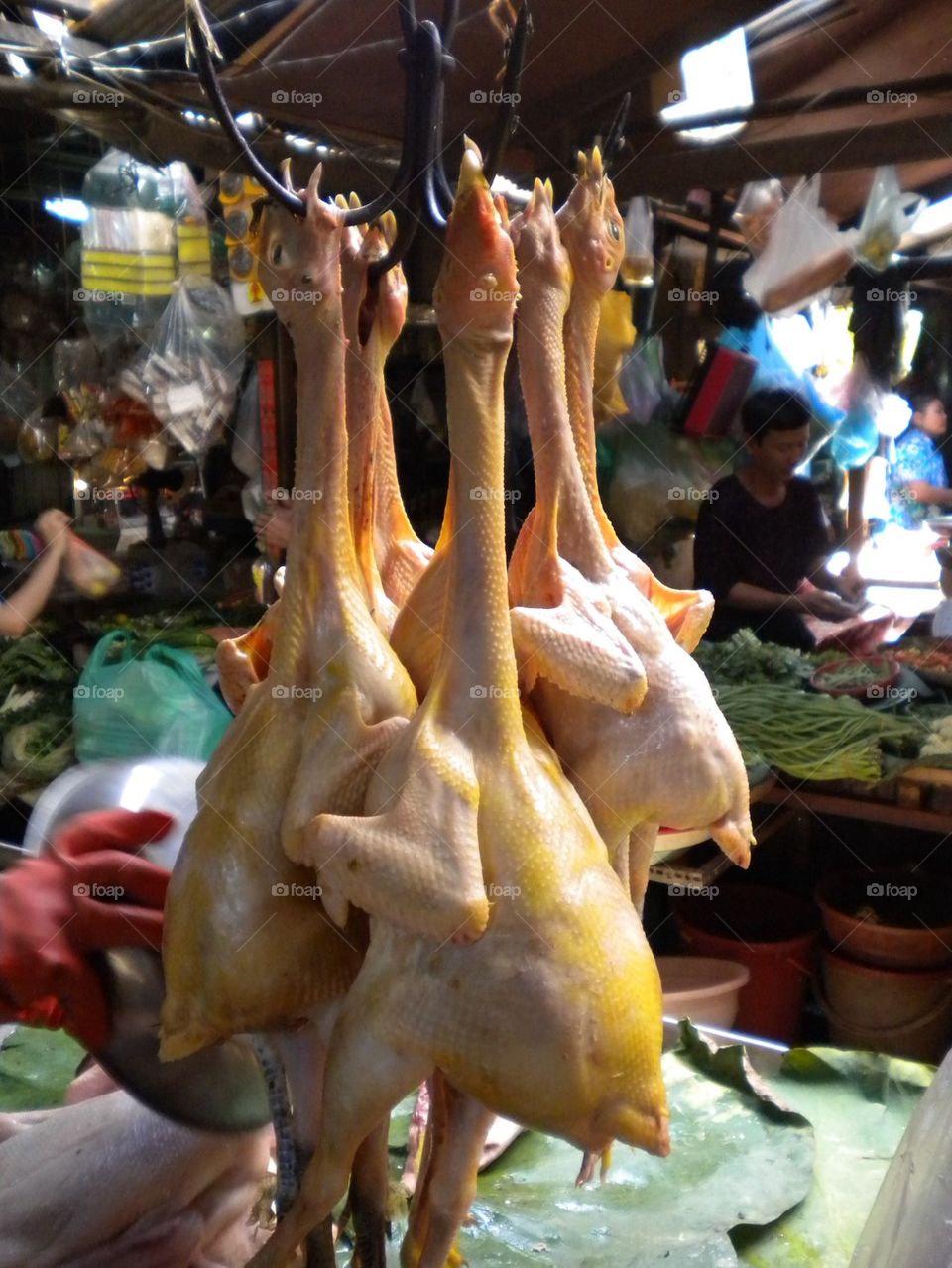 It Didn't Cross the Road 