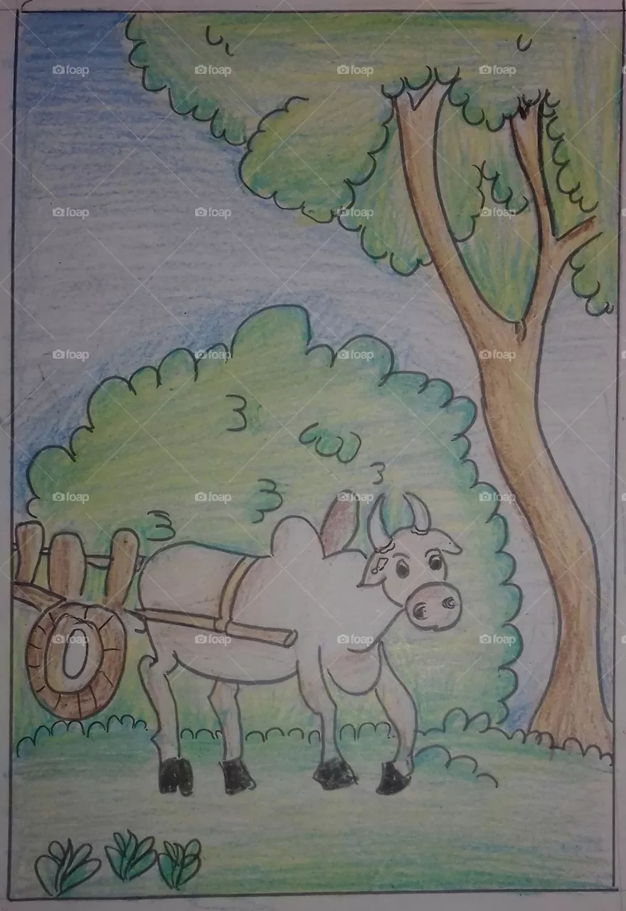 my drawings