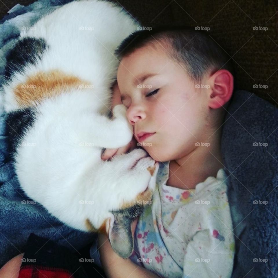 Boy and His Cat