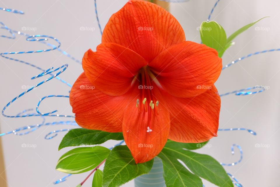 Floral arrangement, bright red flower