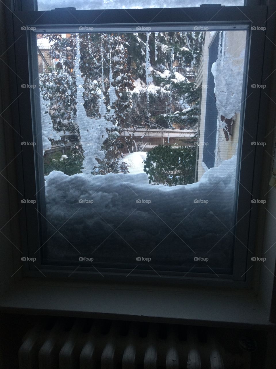 Snowy garden view from window