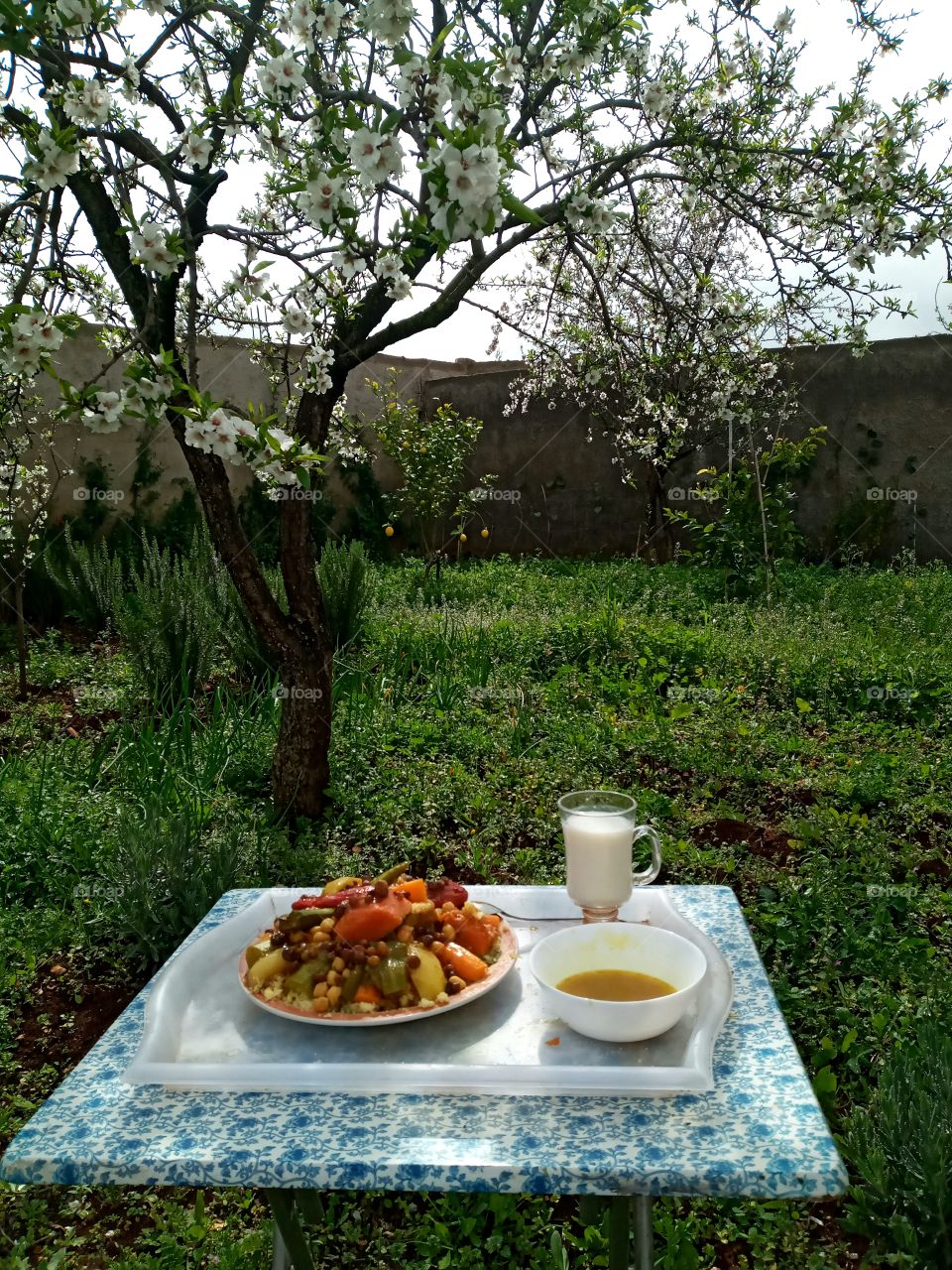 Serve à dishof couscous une ander almond tree in the middle of spring