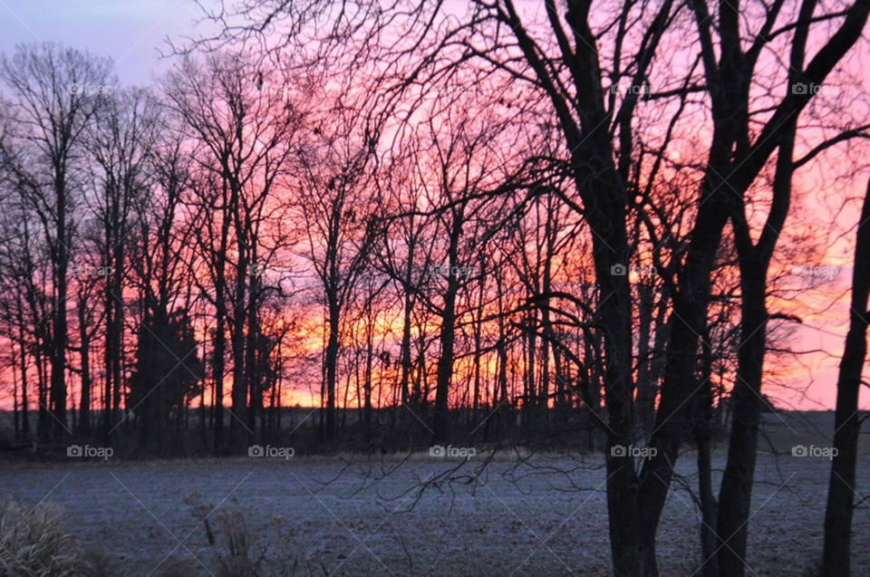 morning sun. winter view from my backyard