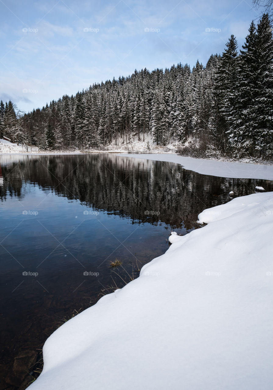 Winter Lake