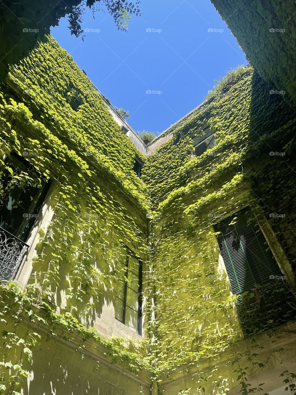 Summer season in Europa 🧡