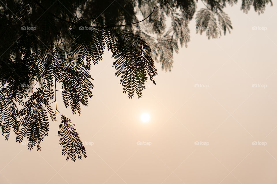 Nature is so beautifull capture it because every moment nature is changed