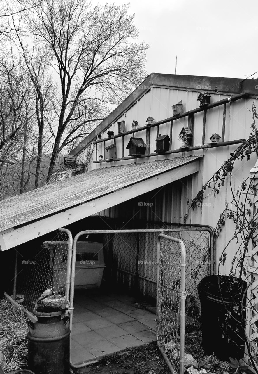 Projects on our yard.