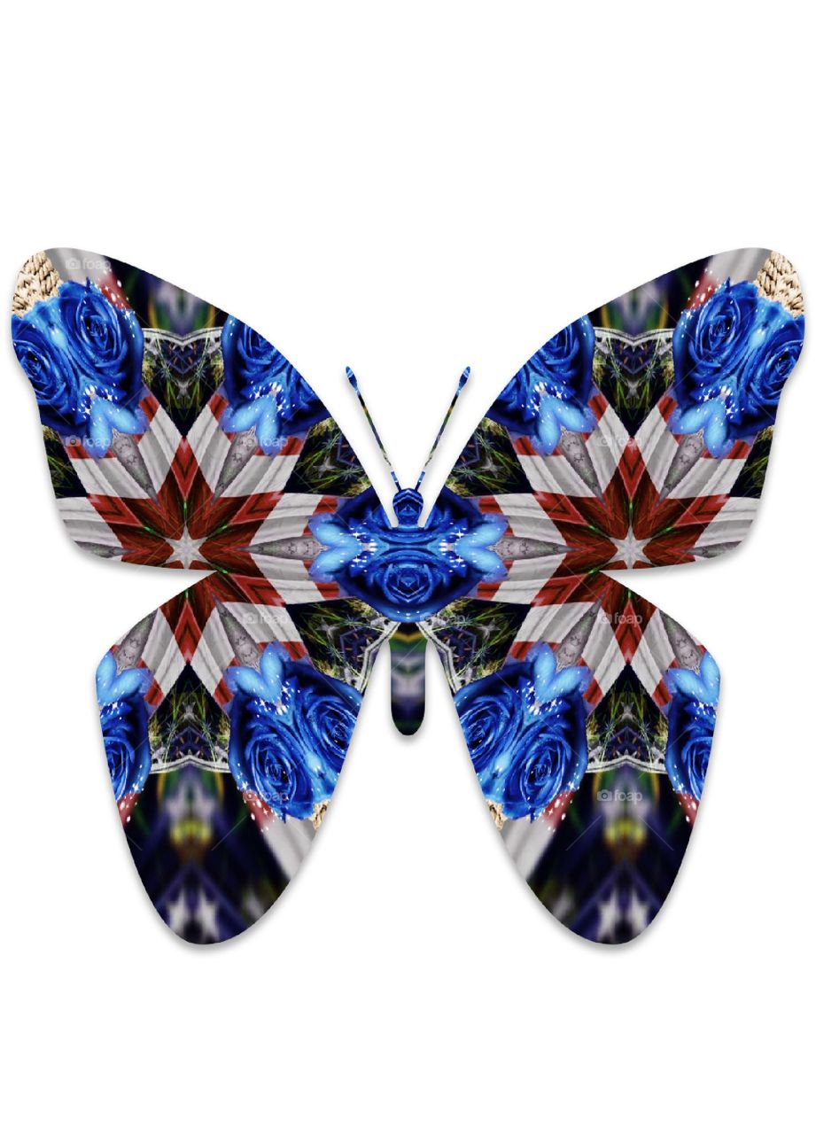 digitally created butterfly,  red white and blue