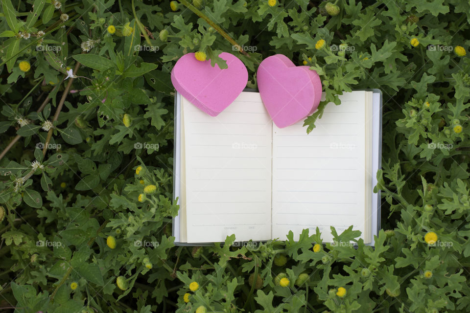natural book and flower
