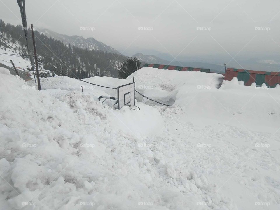 basketball  ball playing ground