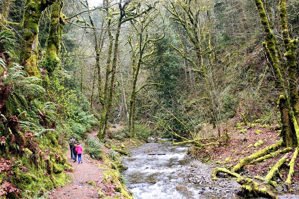 Hiking trail 