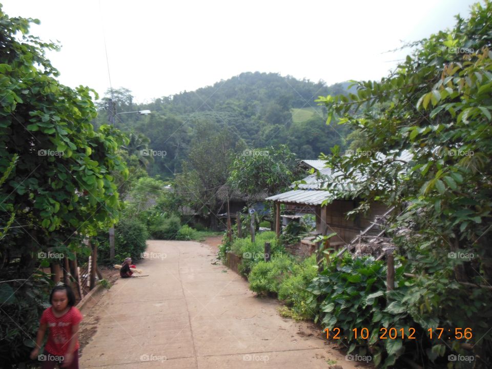 Local Village
