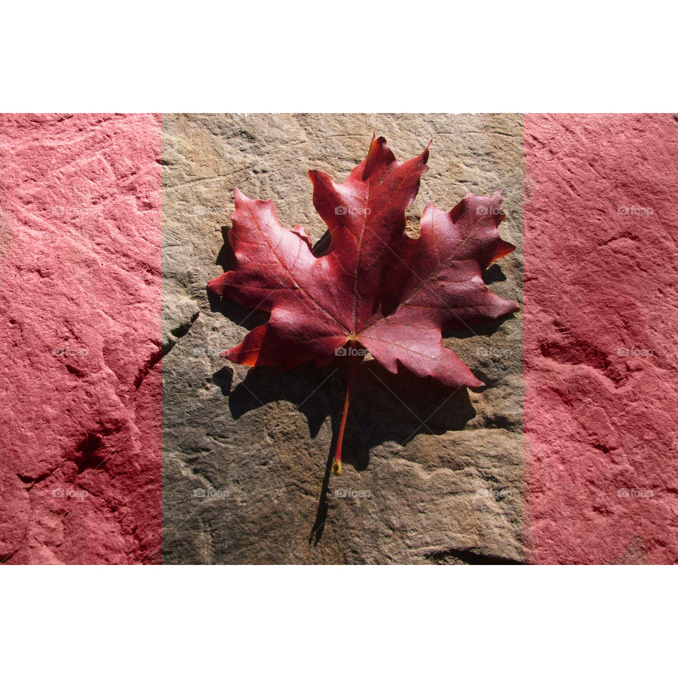 Maple leaf on a textured stone in the fall - colored to resemble the Canadian Flag