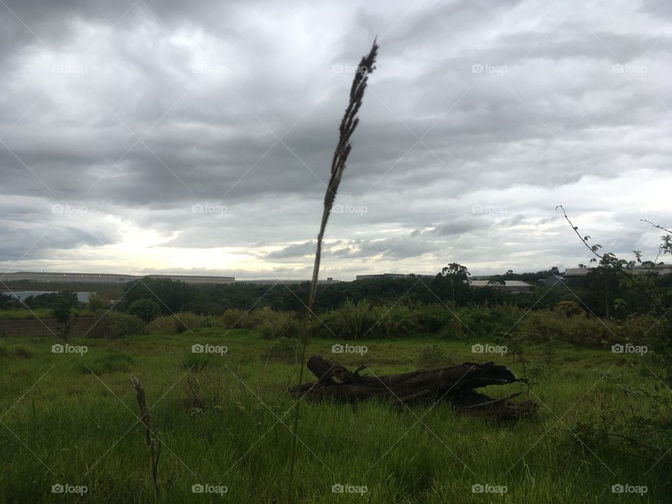 🇺🇸 Good Morning.  May the Sabbath be worth it! / 🇧🇷 Bom dia. Que o sábado possa valer a pena!
🍃🙌🏻
#sky #céu #photo #nature #morning #alvorada #natureza #horizonte #fotografia #pictureoftheday #paisagem #inspiração #amanhecer #mobgraphy #mobgrafia