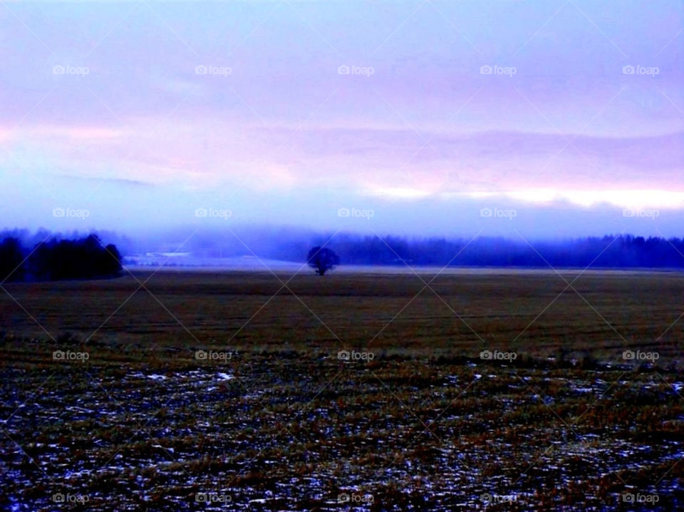 snow winter norway field by merethe