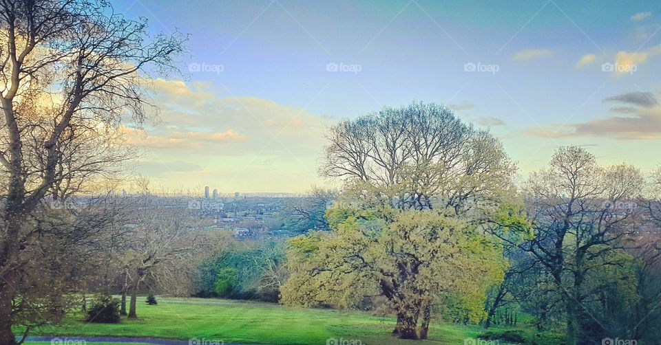 #london #skyline #park