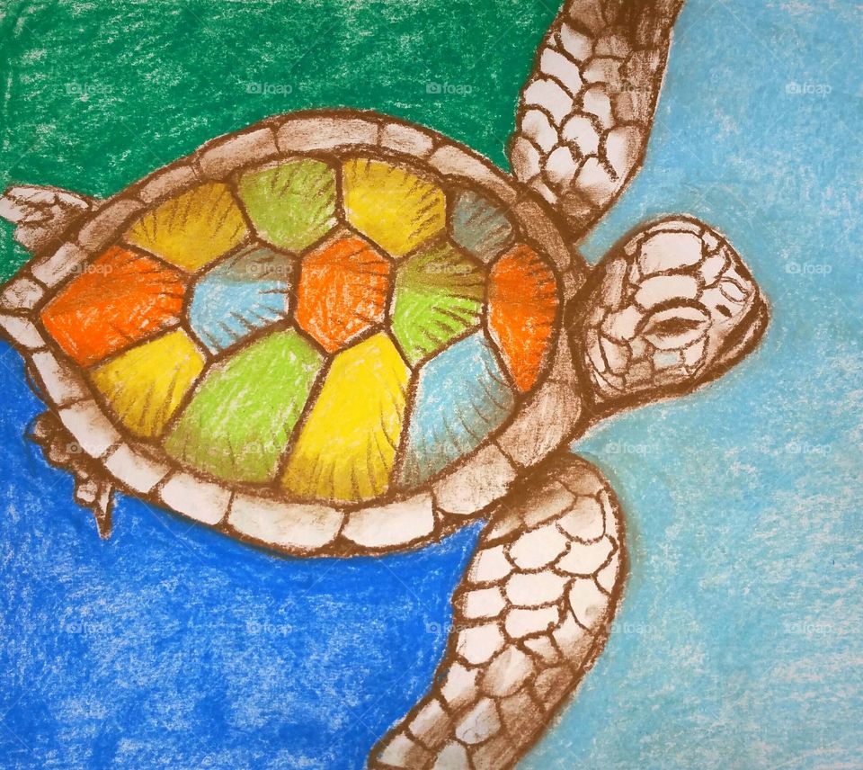 Murticolor sea turtle