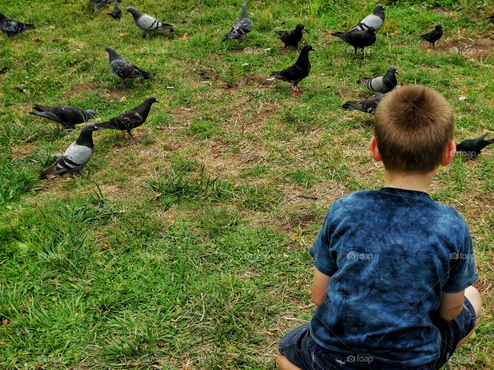 Boy Feeding Birds